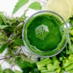Post-Sleeve Smoothies: Essential Bariatric Recipes