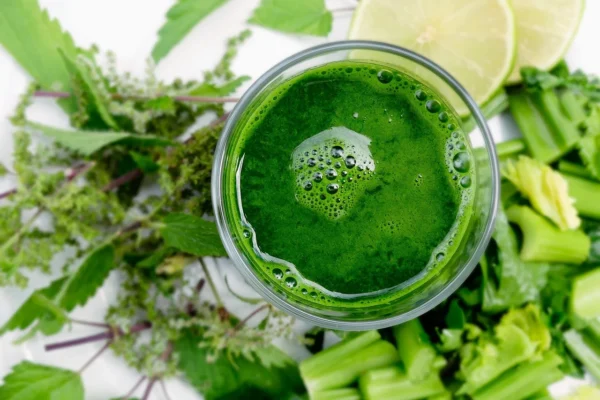 Post-Sleeve Smoothies: Essential Bariatric Recipes