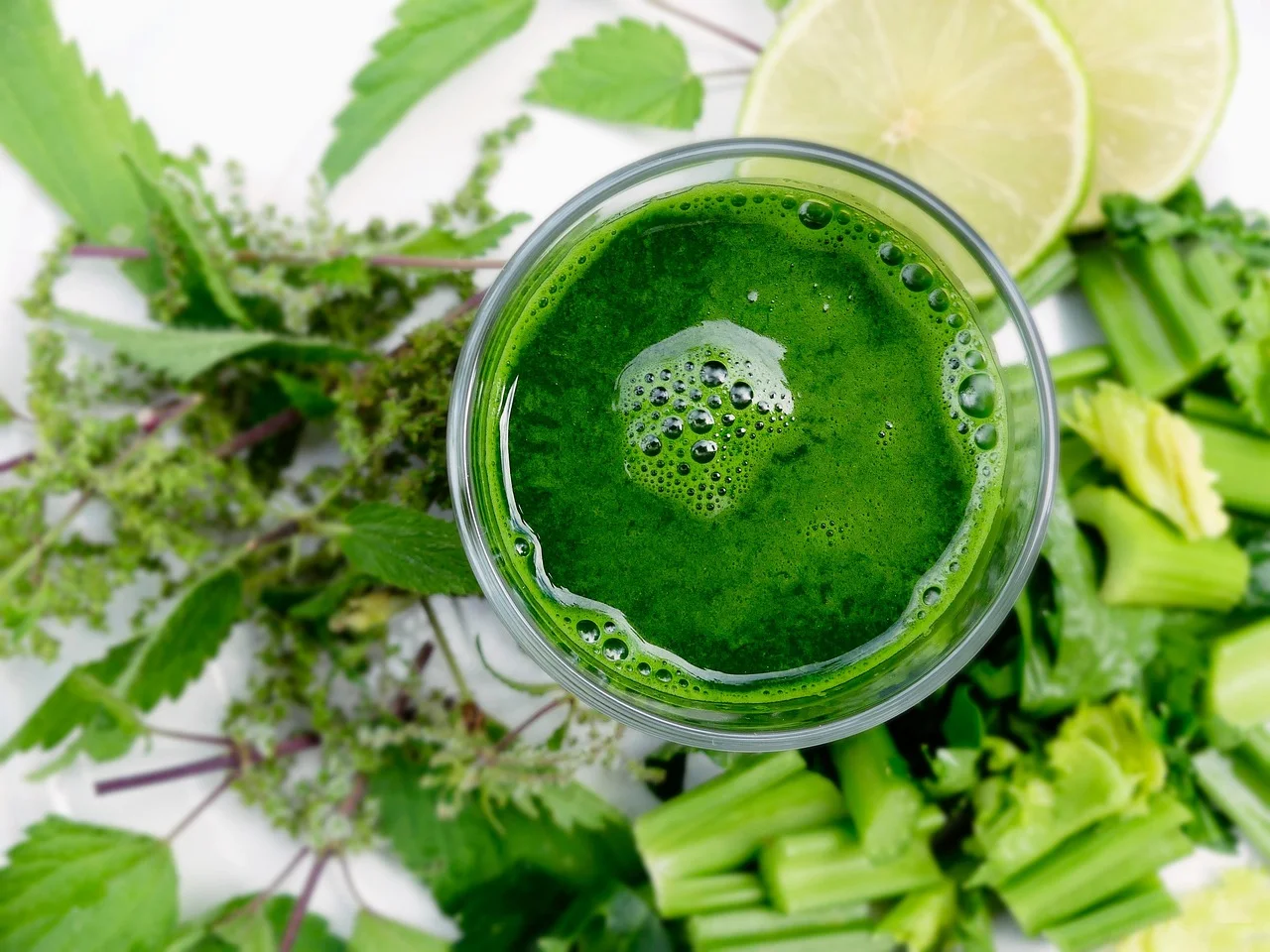 Post-Sleeve Smoothies: Essential Bariatric Recipes